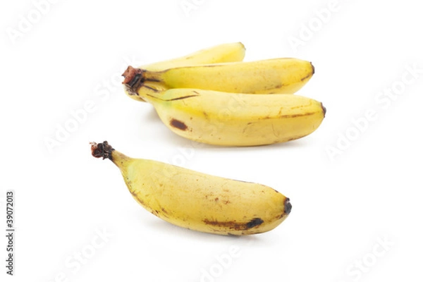 Obraz Mini banane su fondo bianco