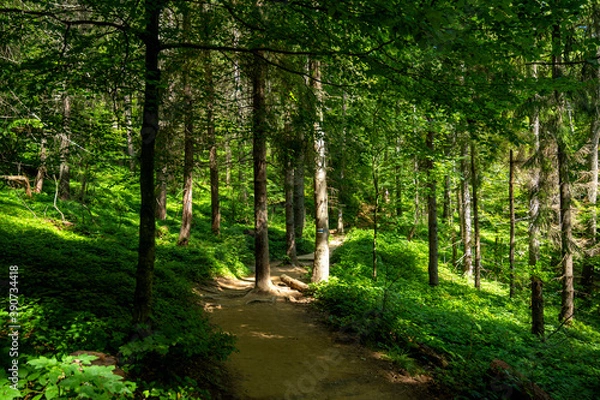 Fototapeta bieszczady przepiękny widok góry, koniec świata, natura raj na ziemi