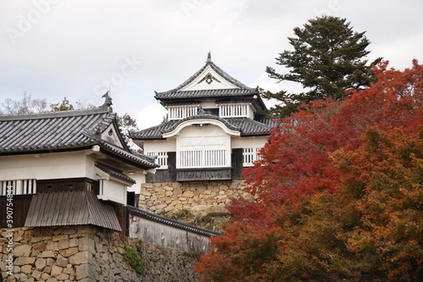 Obraz 日本のお城