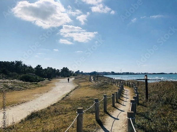 Obraz 제주도 해변