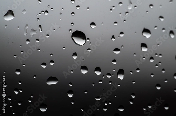 Fototapeta Rain drops in the window, macro
