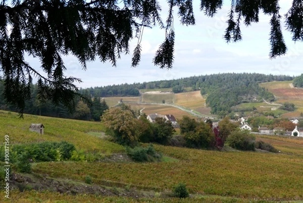 Obraz landscape with trees and hills