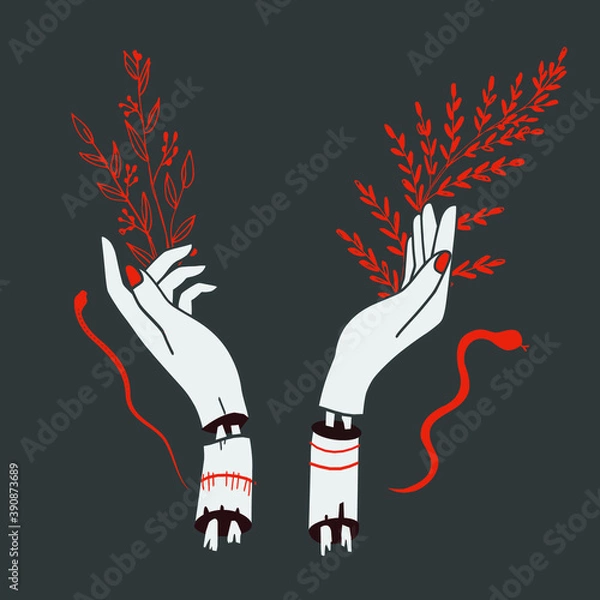 Fototapeta Vector witchy hands illustration with grey background. Witch hands illustration.