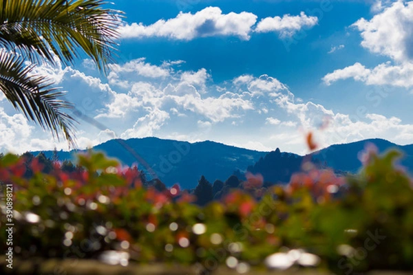 Obraz atardeceres de la cuidad
