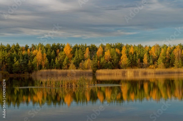 Fototapeta Colorful autumn trees by the lake at sunset.