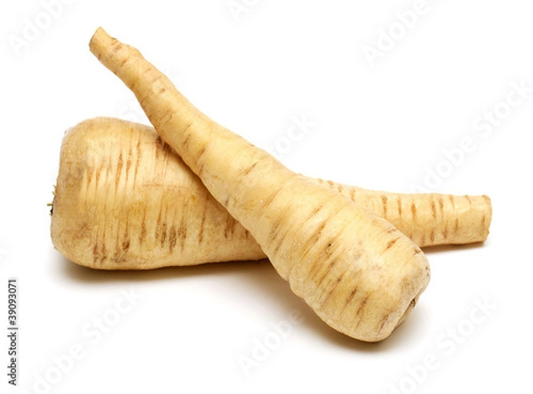 Obraz two fresh parsnip roots on a white background