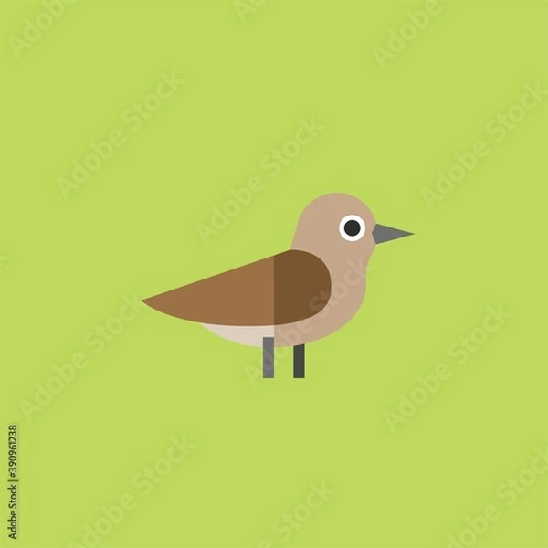 Obraz bird icon vector full color