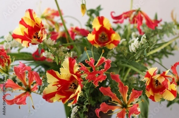 Obraz フレーミングパーロット