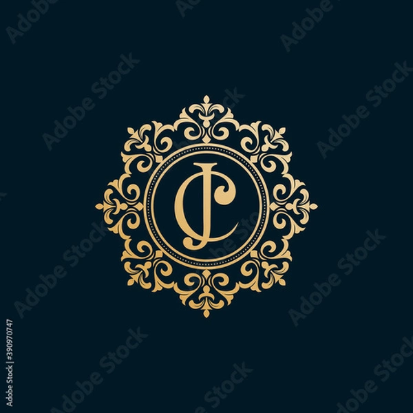 Obraz luxury logo design template vektor