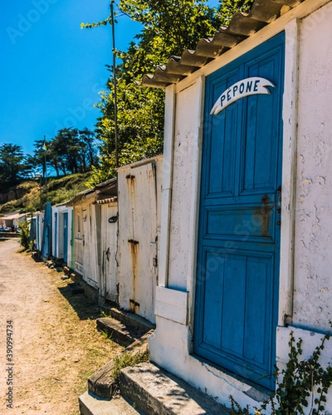 Obraz sur l'ile d'yeu