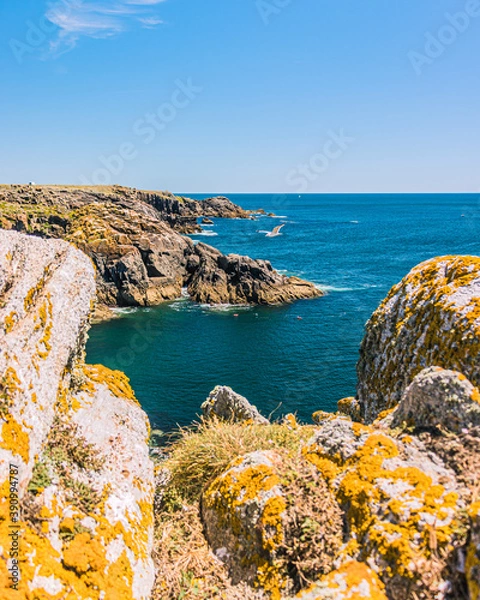 Obraz sur l'ile d'yeu