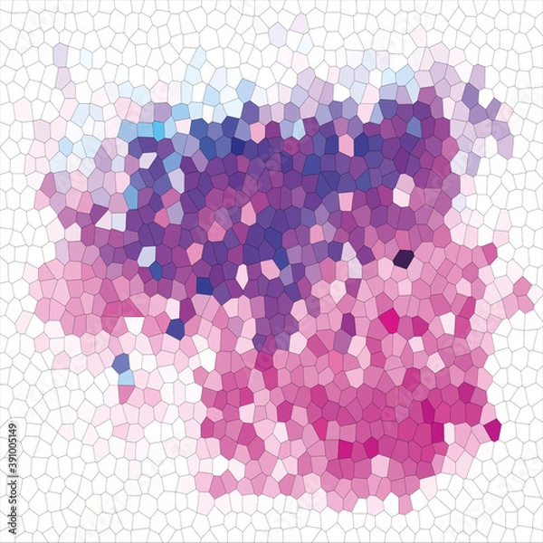 Obraz Beautiful Cellular Texture Wallpaper Abstract On White Background