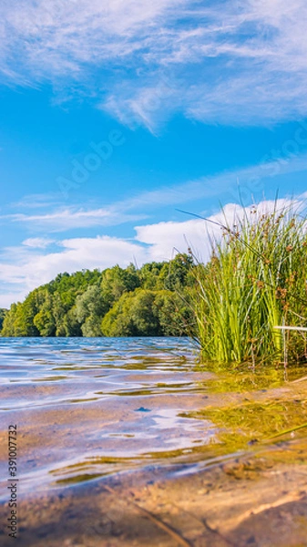 Obraz Phone Wallpaper