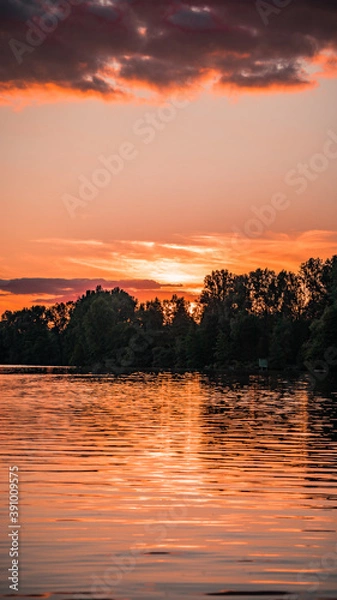 Obraz Phone wallpaper