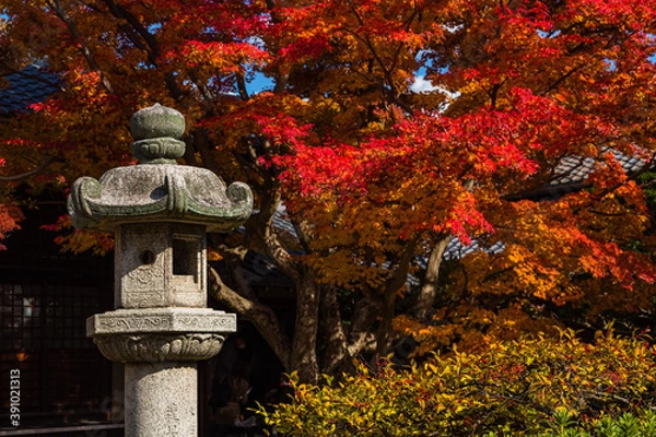 Obraz 日本　京都、源光庵の紅葉