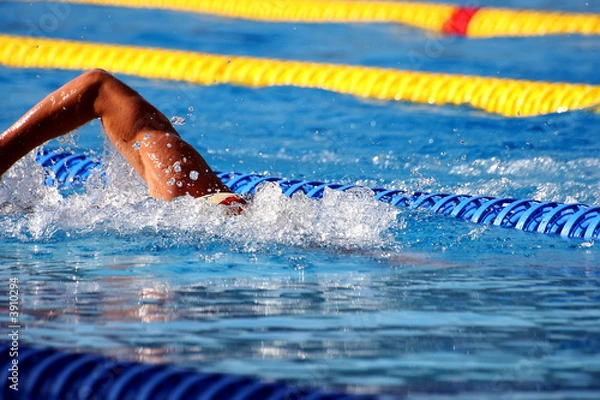 Fototapeta swimming