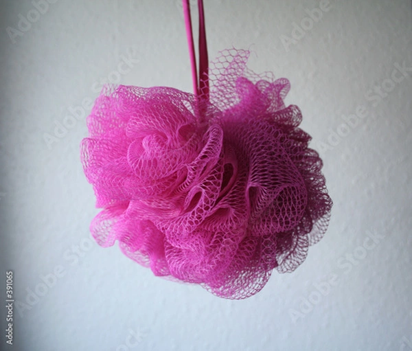 Obraz pink luffa