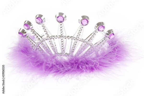 Obraz jolie couronne de princesse