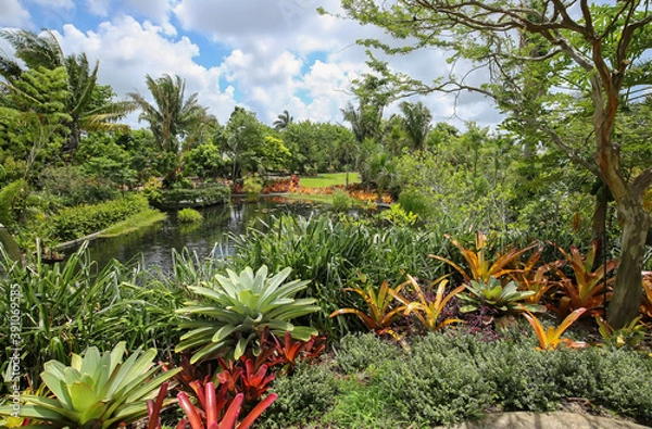 Fototapeta Naples Botanical Gardens, beautifully designed with curves, water elements, colors and vertical landscaping.