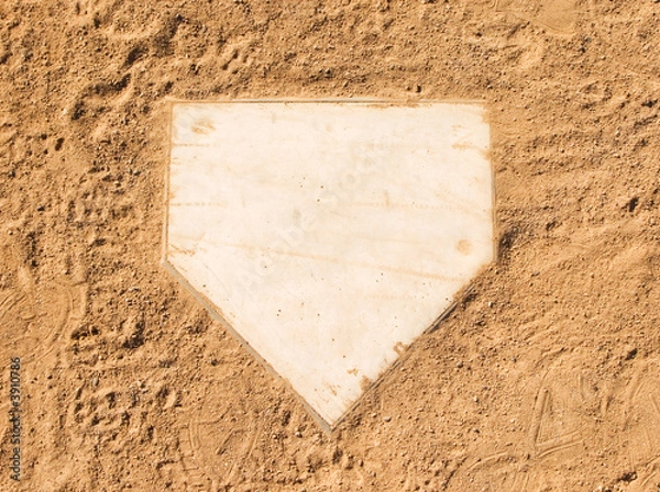 Fototapeta Płyta domowa