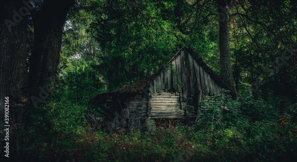 Fototapeta Old ruined house in the woods among the trees
