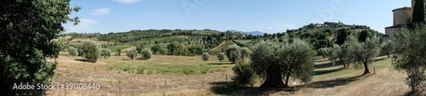 Fototapeta landscape in Tuscany in Italy with olive trees and dry grass fields