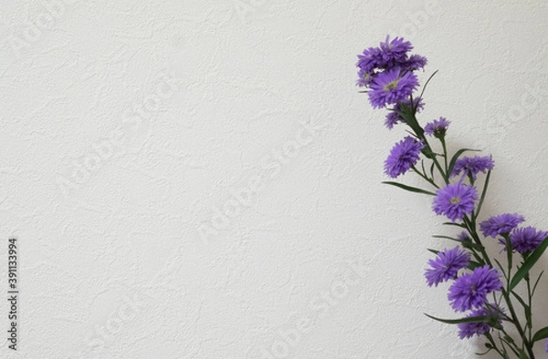 Fototapeta background