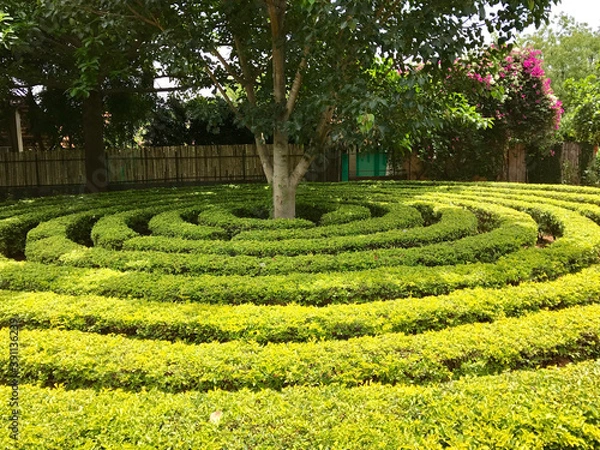 Fototapeta maze in the park