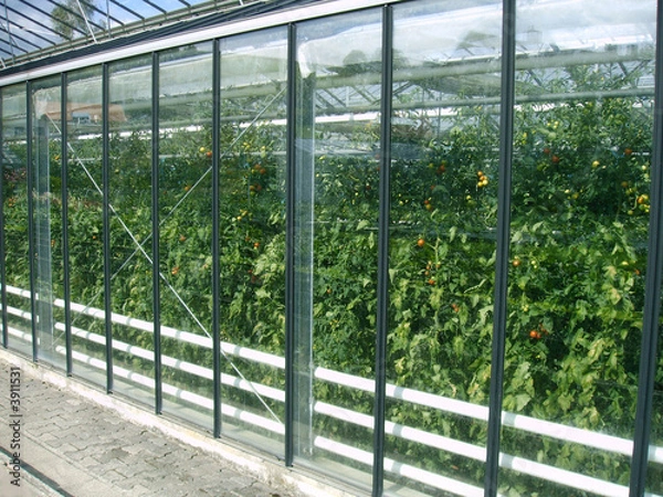 Obraz Gewächshaus