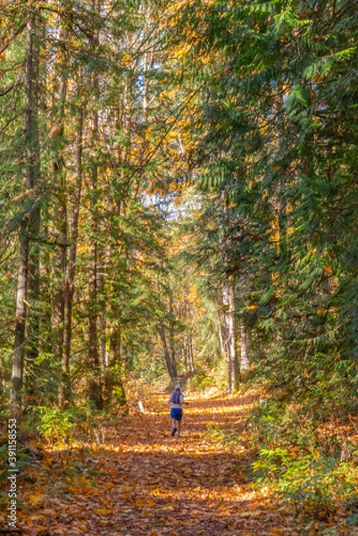 Fototapeta Trail running during autumn on mountain.