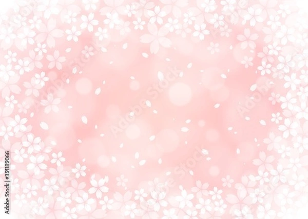Obraz 【桜の背景画像素材】ホワホワした桜の背景【春のイメージに】