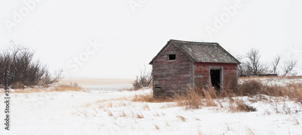 Obraz snowstorm on the prairies