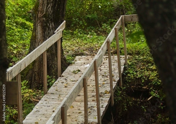 Fototapeta a wooden bridge in the forest showered with autumn leaves