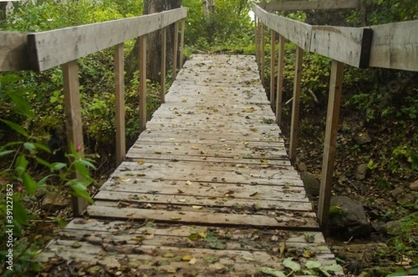 Fototapeta a wooden bridge in the forest showered with autumn leaves