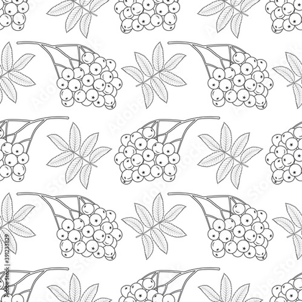 Fototapeta Rowan bunches seamless pattern