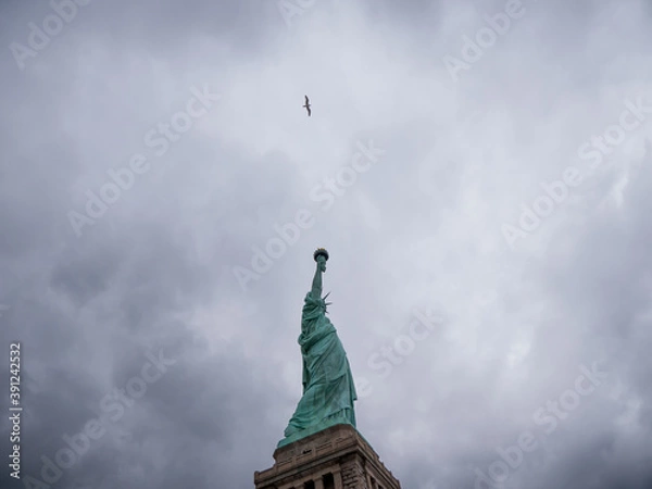 Obraz Canted shot of the statue of liberty, seagull flying, grey sky, low angle view