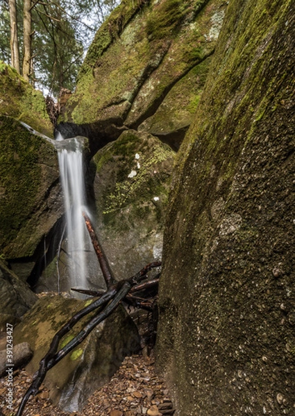 Obraz Over the Sticks