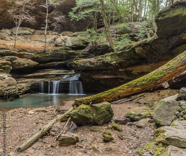 Obraz Water and Fallen Tree