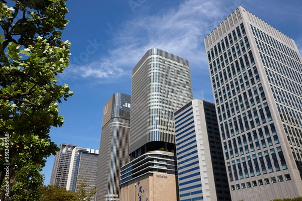 Fototapeta 肥後橋の高層ビル