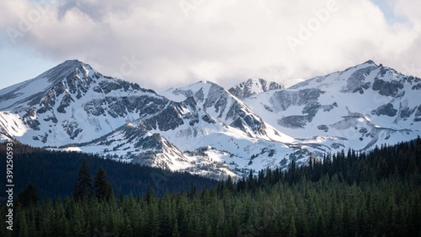 Obraz Iconic Canadian alpine landscape - snow-capped mountains and coniferous forest  on an early morning.