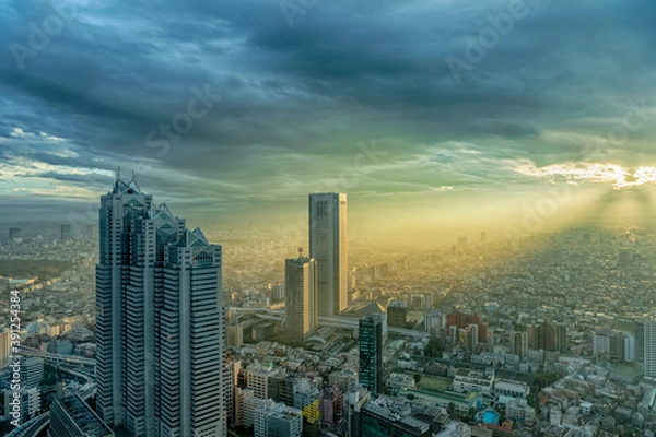Fototapeta 東京都新宿区西新宿にある東京都庁から見た夕方の東京の都市景観