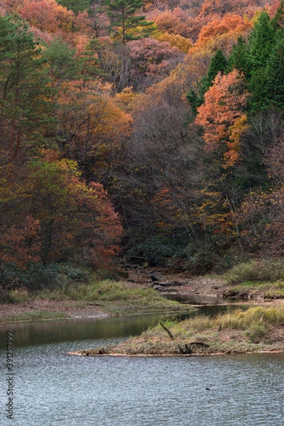 Obraz 聖湖の紅葉 1