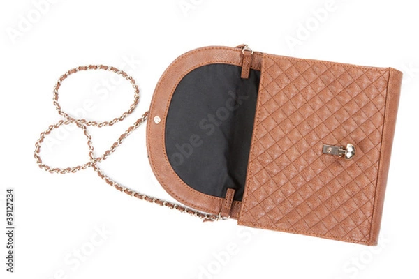 Obraz The brown woman's handbag