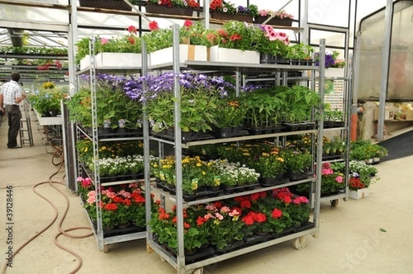 Obraz Gärtnerei-Regal