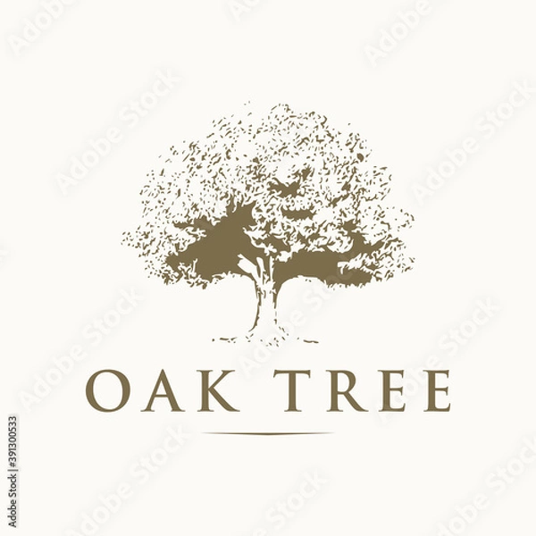 Obraz Oak tree logo design