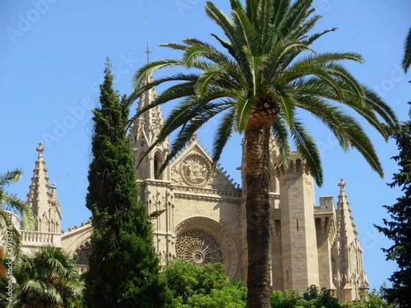 Obraz Katedra w Palma de Mallorca