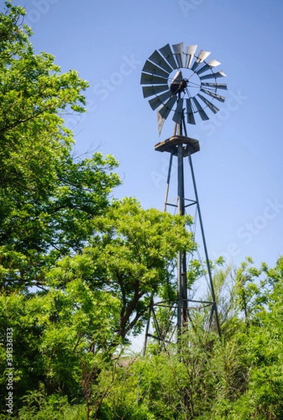 Obraz Big Bend National Park