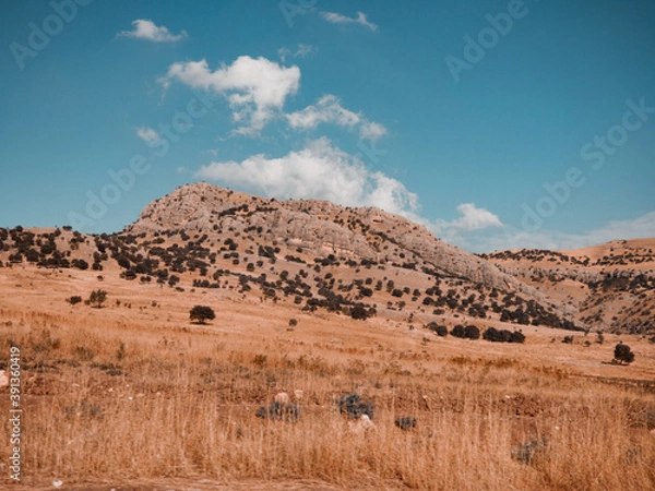 Obraz landscape with sky
