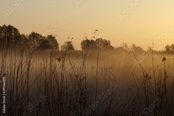 Fototapeta O wschodzie 