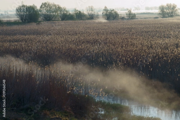 Fototapeta Nad Postomią